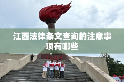 江西法律条文查询的注意事项有哪些