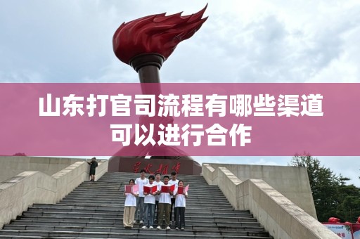 山东打官司流程有哪些渠道可以进行合作