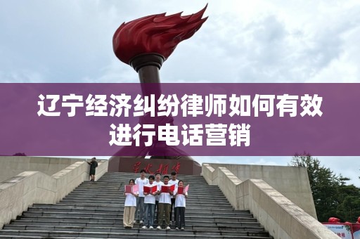 辽宁经济纠纷律师如何有效进行电话营销