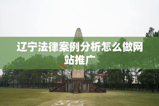 辽宁法律案例分析怎么做网站推广
