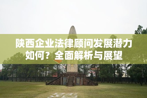 陕西企业法律顾问发展潜力如何？全面解析与展望