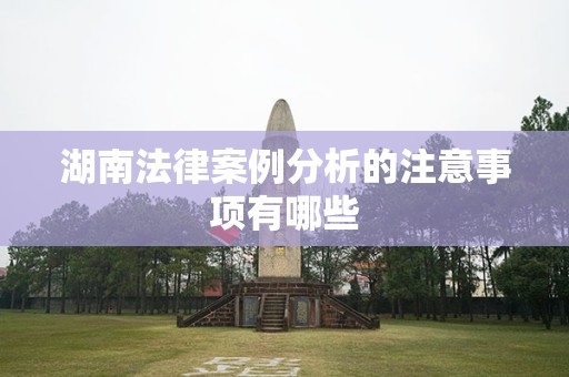 湖南法律案例分析的注意事项有哪些