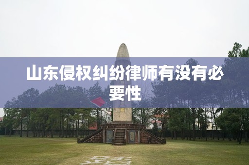 山东侵权纠纷律师有没有必要性
