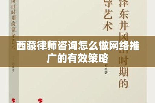 西藏律师咨询怎么做网络推广的有效策略