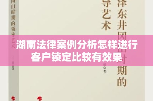 湖南法律案例分析怎样进行客户锁定比较有效果