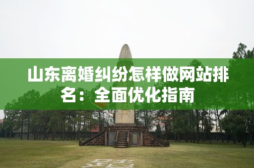 山东离婚纠纷怎样做网站排名：全面优化指南