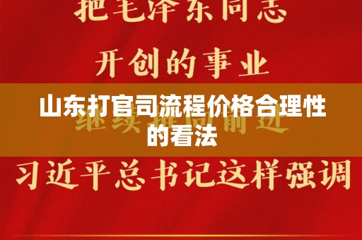 山东打官司流程价格合理性的看法