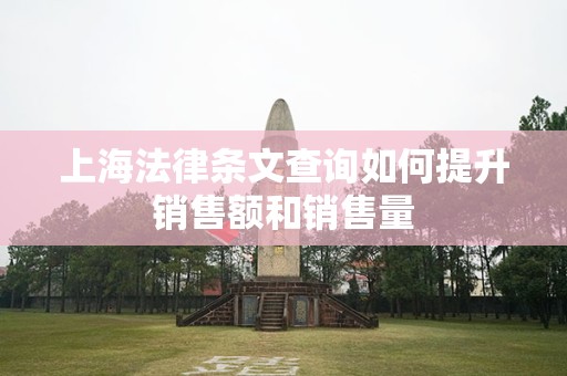 上海法律条文查询如何提升销售额和销售量