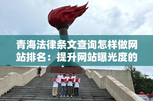 青海法律条文查询怎样做网站排名：提升网站曝光度的策略