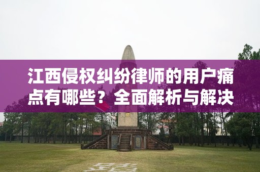 江西侵权纠纷律师的用户痛点有哪些？全面解析与解决方案