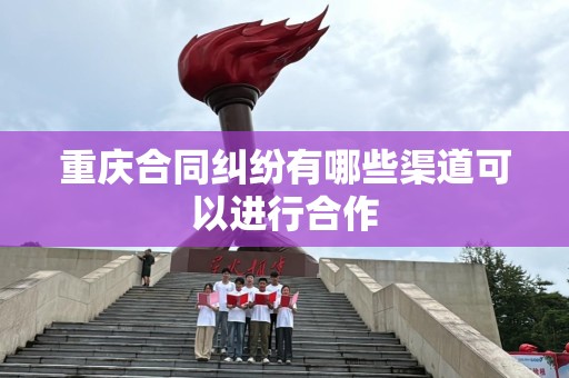 重庆合同纠纷有哪些渠道可以进行合作