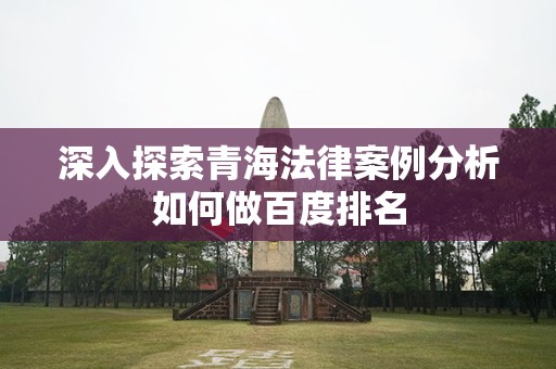 深入探索青海法律案例分析如何做百度排名