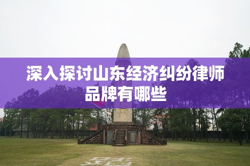 深入探讨山东经济纠纷律师品牌有哪些