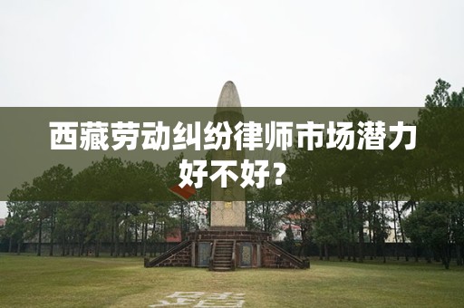 西藏劳动纠纷律师市场潜力好不好？