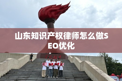 山东知识产权律师怎么做SEO优化