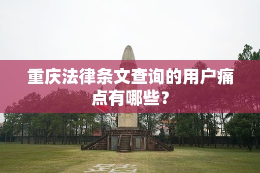 重庆法律条文查询的用户痛点有哪些？