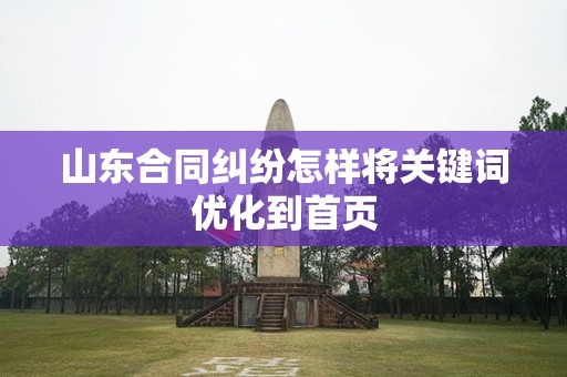 山东合同纠纷怎样将关键词优化到首页