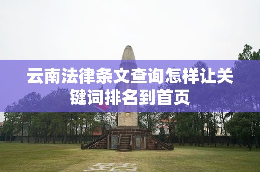 云南法律条文查询怎样让关键词排名到首页