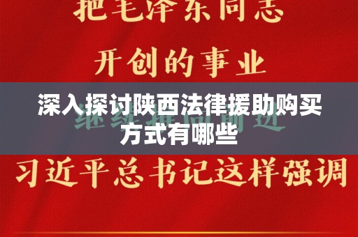 深入探讨陕西法律援助购买方式有哪些