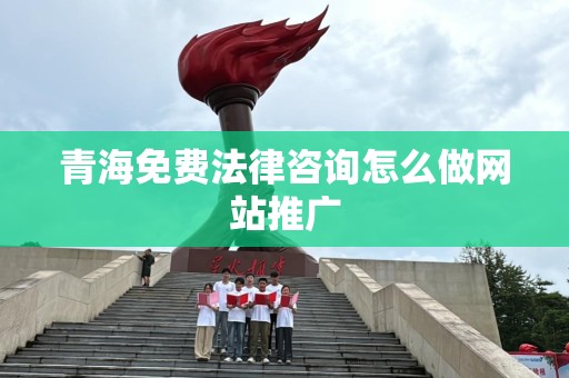 青海免费法律咨询怎么做网站推广