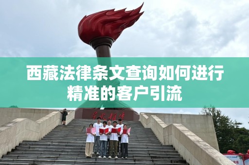 西藏法律条文查询如何进行精准的客户引流