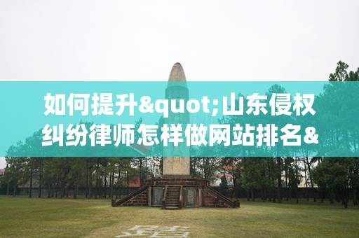 如何提升"山东侵权纠纷律师怎样做网站排名"的效率？