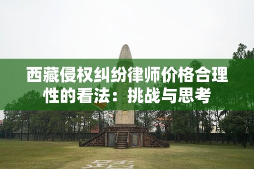 西藏侵权纠纷律师价格合理性的看法：挑战与思考