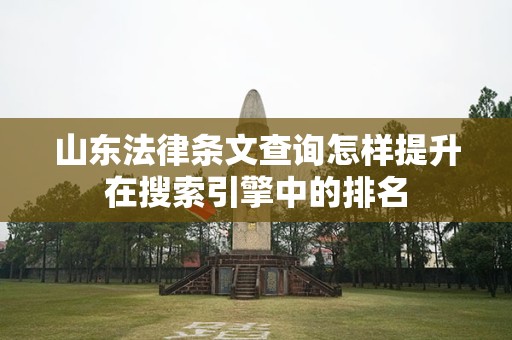 山东法律条文查询怎样提升在搜索引擎中的排名