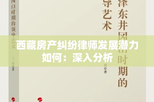 西藏房产纠纷律师发展潜力如何：深入分析