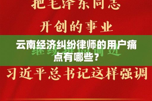 云南经济纠纷律师的用户痛点有哪些？