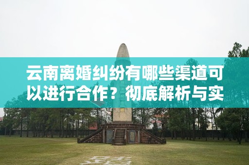 云南离婚纠纷有哪些渠道可以进行合作？彻底解析与实用指南