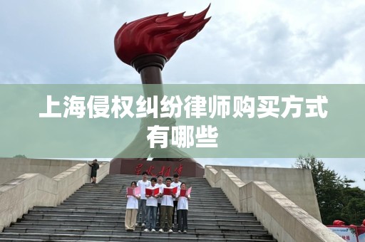 上海侵权纠纷律师购买方式有哪些