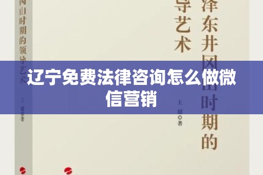 辽宁免费法律咨询怎么做微信营销