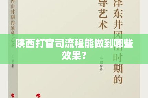 陕西打官司流程能做到哪些效果？