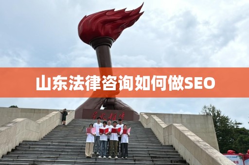 山东法律咨询如何做SEO