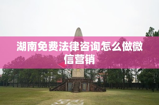 湖南免费法律咨询怎么做微信营销