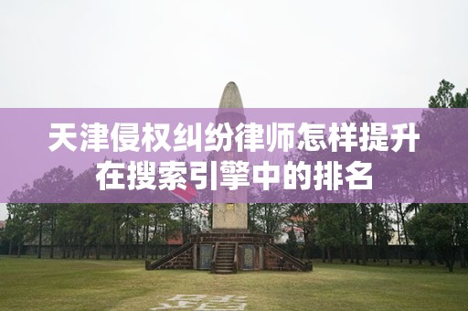 天津侵权纠纷律师怎样提升在搜索引擎中的排名