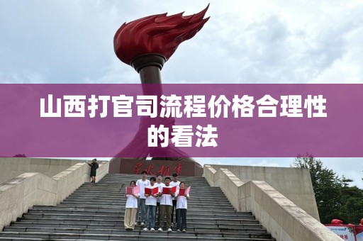 山西打官司流程价格合理性的看法