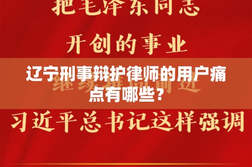 辽宁刑事辩护律师的用户痛点有哪些？