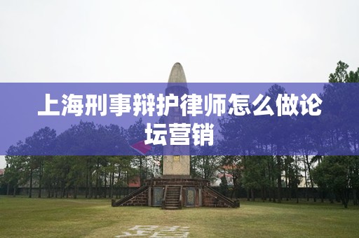 上海刑事辩护律师怎么做论坛营销