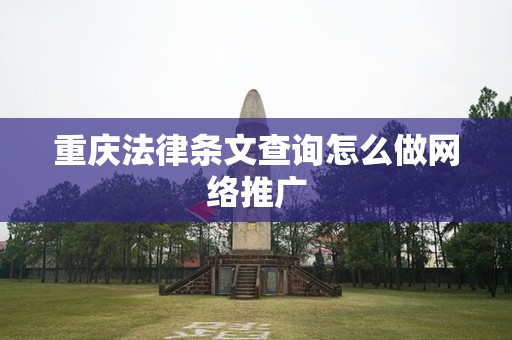 重庆法律条文查询怎么做网络推广