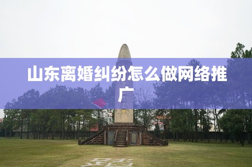 山东离婚纠纷怎么做网络推广