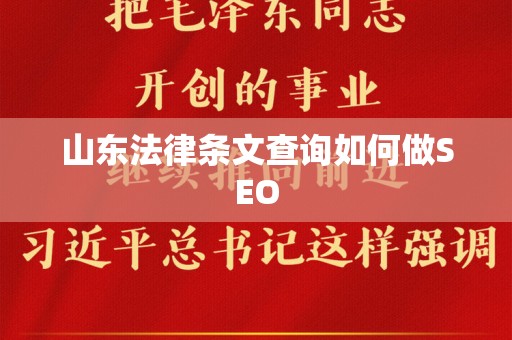 山东法律条文查询如何做SEO