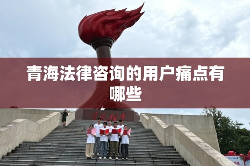 青海法律咨询的用户痛点有哪些