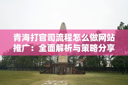 青海打官司流程怎么做网站推广：全面解析与策略分享