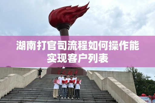 湖南打官司流程如何操作能实现客户列表