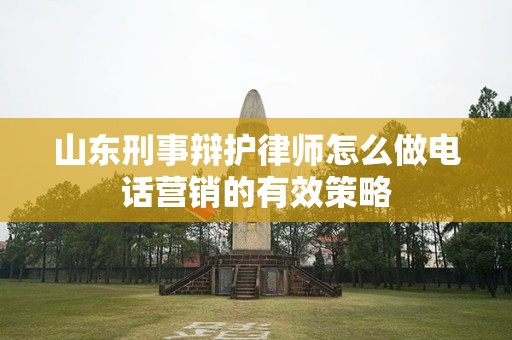 山东刑事辩护律师怎么做电话营销的有效策略