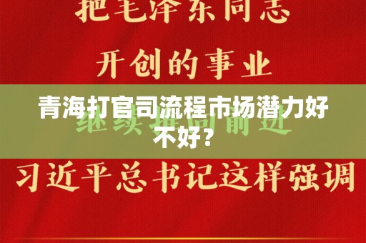 青海打官司流程市场潜力好不好？