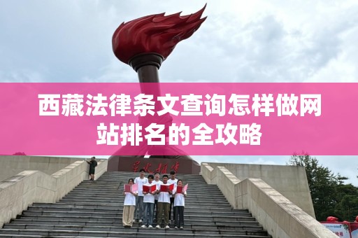 西藏法律条文查询怎样做网站排名的全攻略