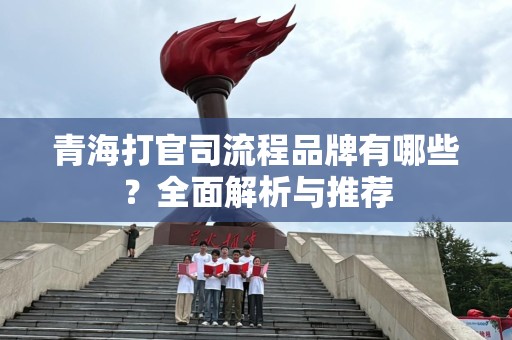 青海打官司流程品牌有哪些？全面解析与推荐